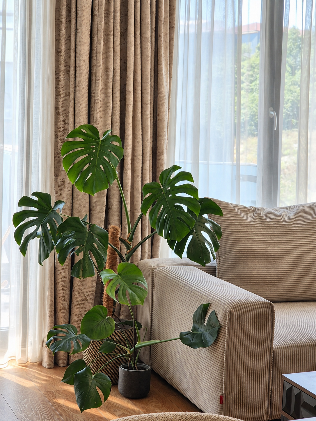 Design your home